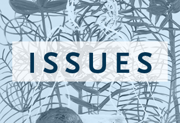 A blue rectangle with a floral pattern and the word: Issues. 