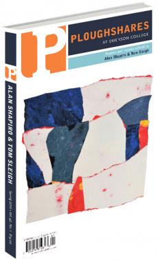 A journal cover with artwork of red, white, and blue fragments put together